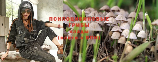 не бодяженный Лихославль